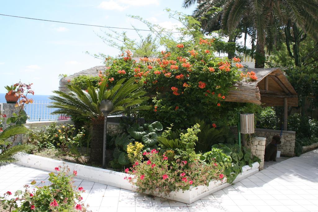 Hotel Villa Bina Sant'Angelo  외부 사진