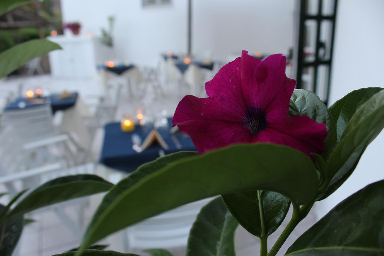 Hotel Villa Bina Sant'Angelo  외부 사진