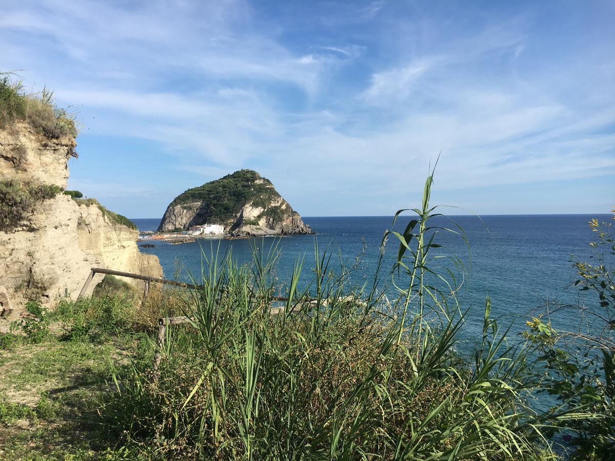 Hotel Villa Bina Sant'Angelo  외부 사진